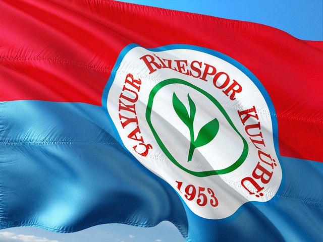 德甲官博祝贺邵佳一：期待邵佳一带领中国国家队走向更高舞台