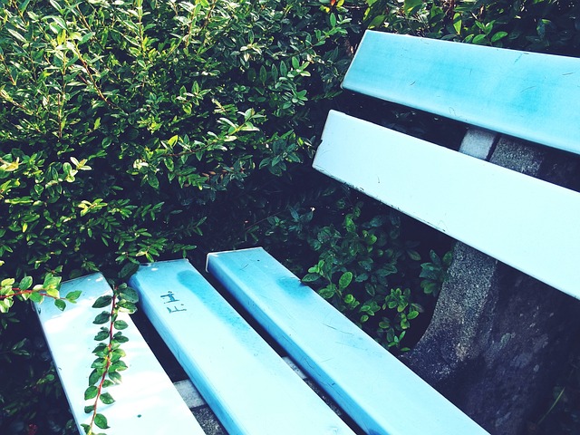 事实证明谁当教练都会被逼疯的啊啊啊